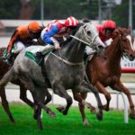 How to celebrate Melbourne Cup on the Gold Coast