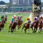 Planning a Successful Day Out for Melbourne Cup