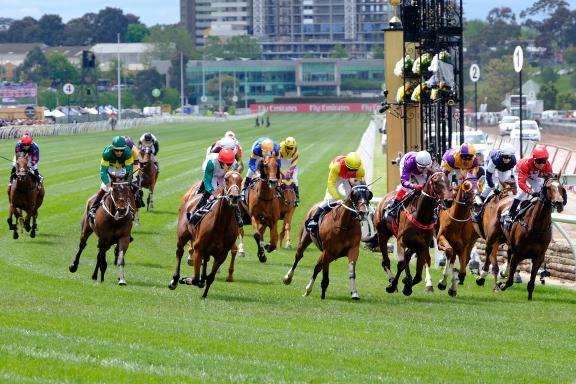 Melbourne cup horse betting odds gol de james en el real madrid levante betting